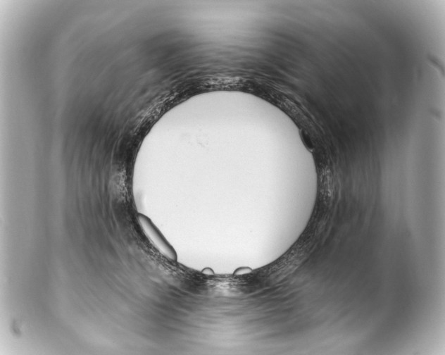 X0000099400564200805291212