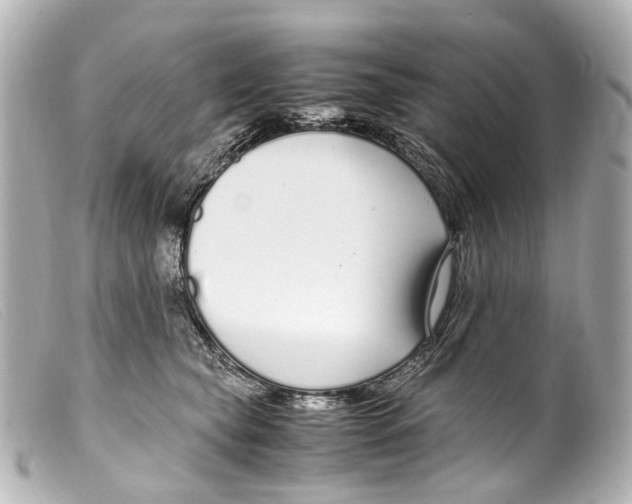 X0000099400565200805291212