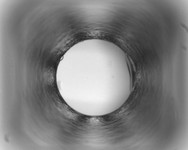 X0000099400566200805291212