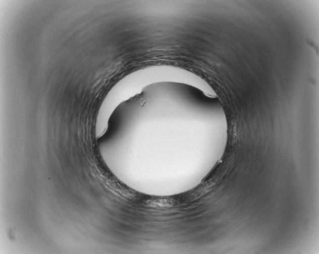 X0000099400567200805291212