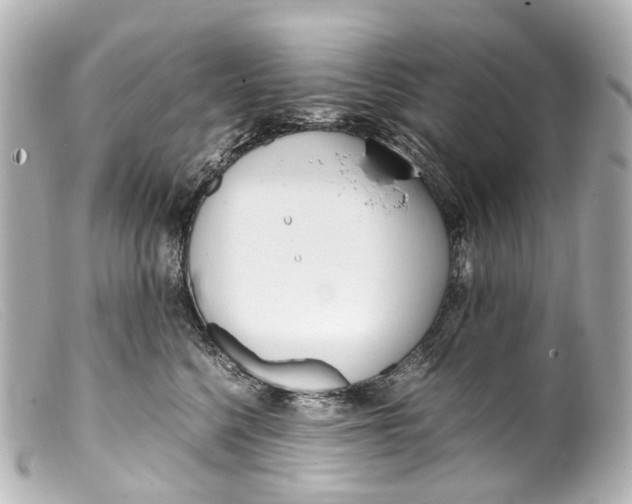 X0000099400568200805291212