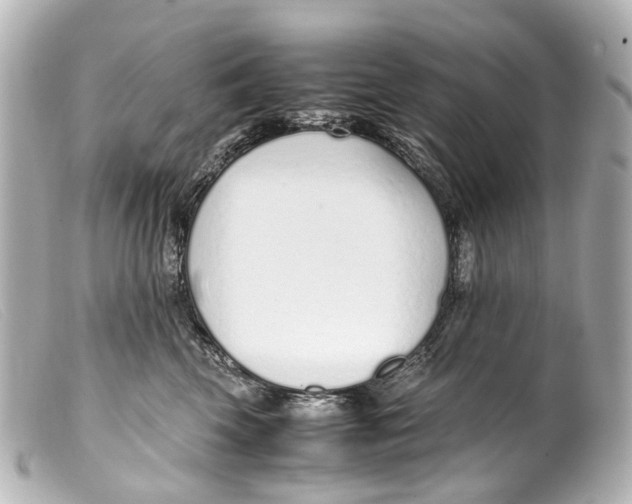 X0000099400569200805291212