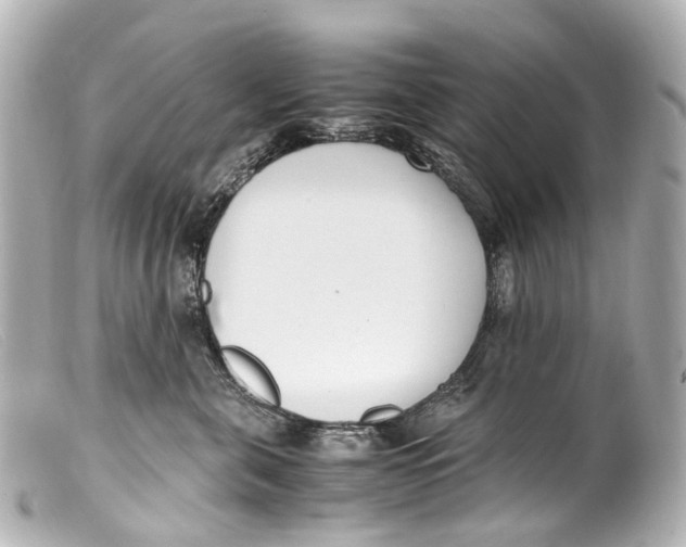 X0000099400571200805291212