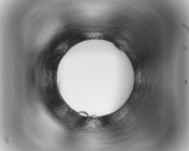 X0000099400572200805291212