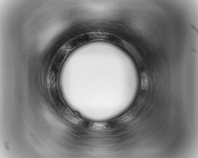 X0000099400573200805291212