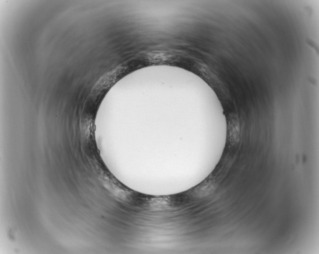 X0000099400574200805291212