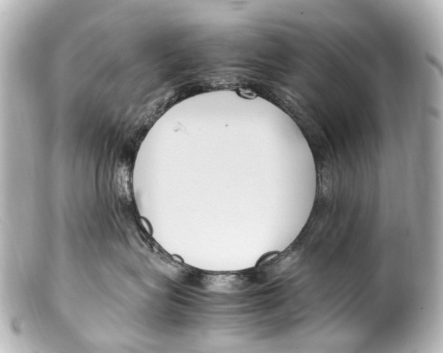 X0000099400575200805291212