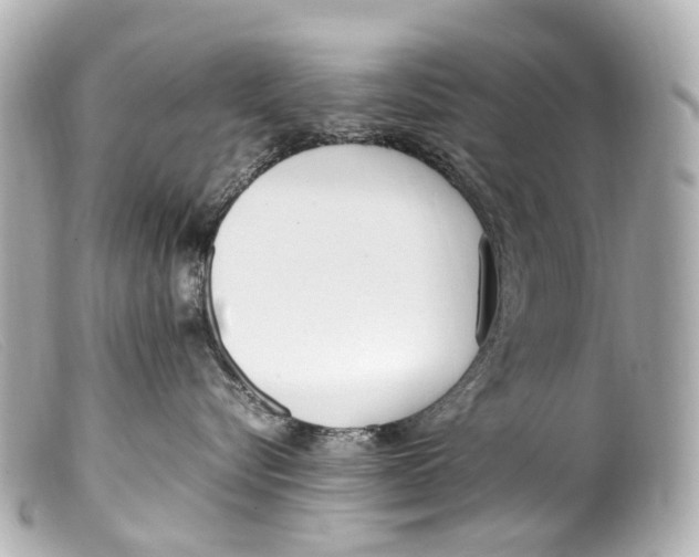 X0000099400576200805291212