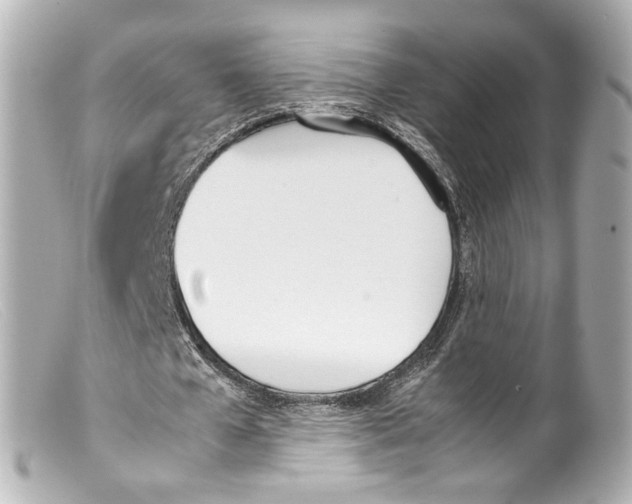 X0000099400577200805291212