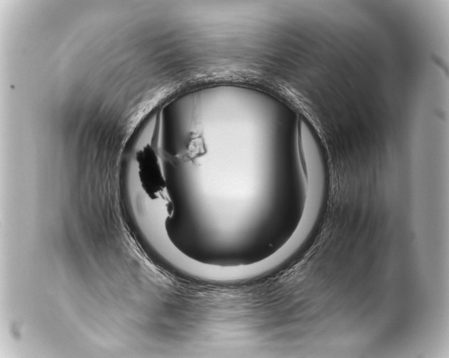 X0000099400578200805291212