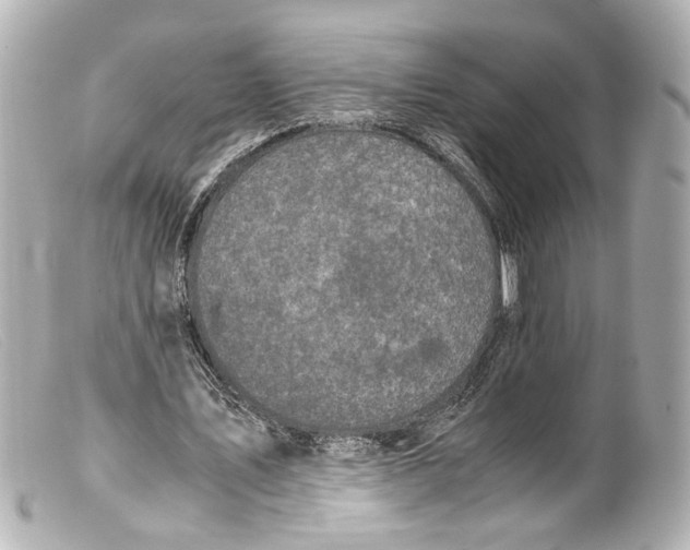 X0000099400579200805291212