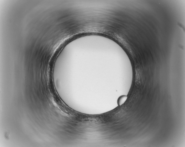 X0000099400580200805291212