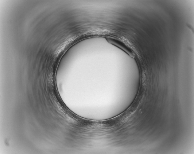 X0000099400581200805291212