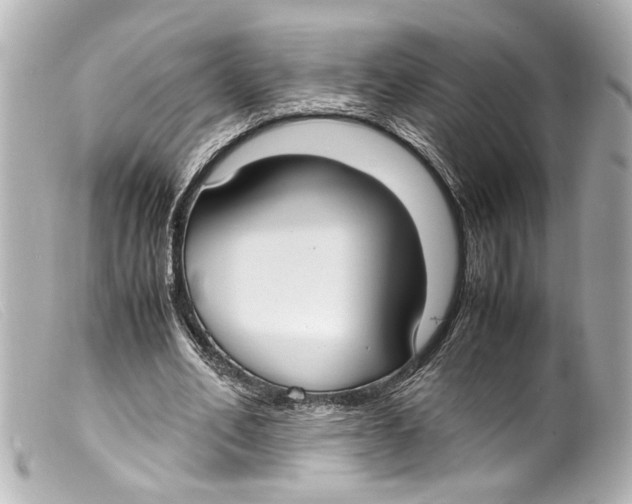 X0000099400582200805291212