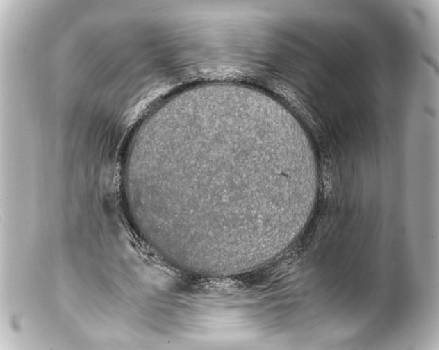 X0000099400583200805291212