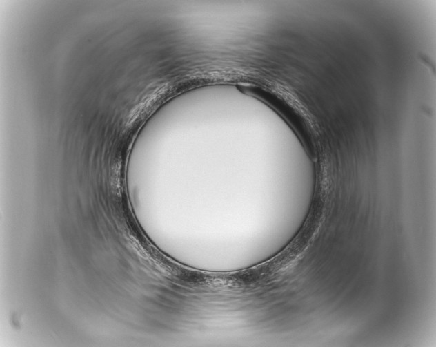 X0000099400585200805291212