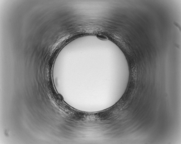 X0000099400587200805291212