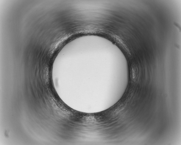 X0000099400588200805291212