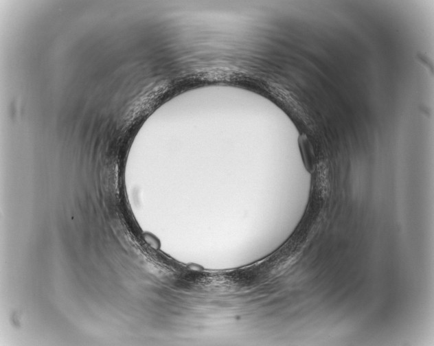 X0000099400589200805291212