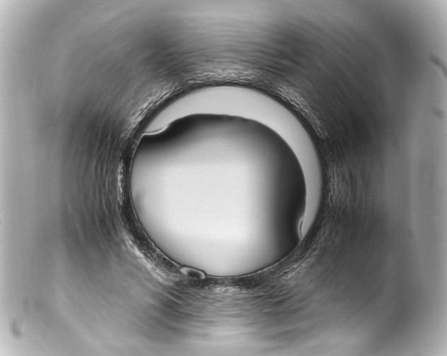 X0000099400590200805291212