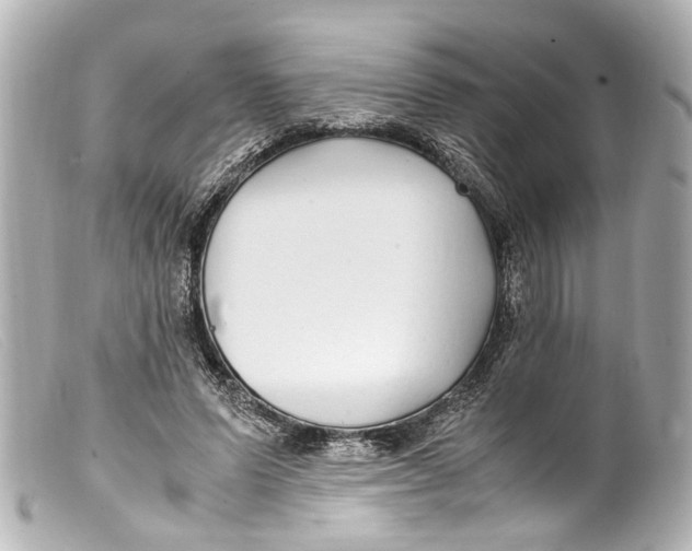 X0000099400591200805291212