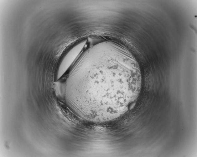 X0000099400592200805291212