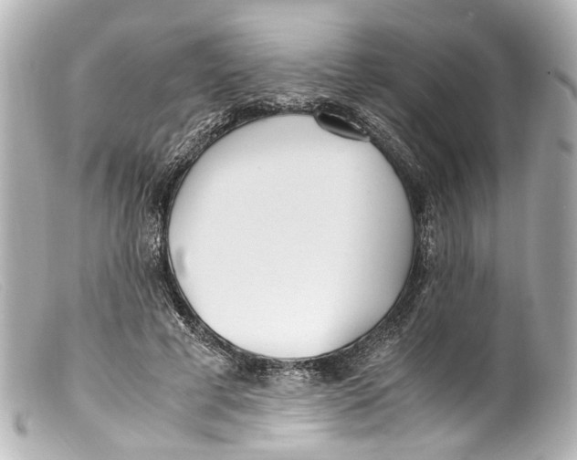 X0000099400593200805291212