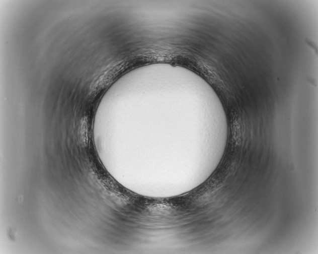 X0000099400594200805291212