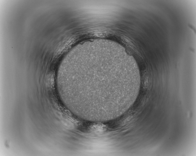 X0000099400595200805291212