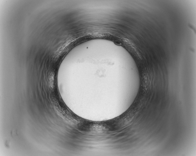 X0000099400596200805291212