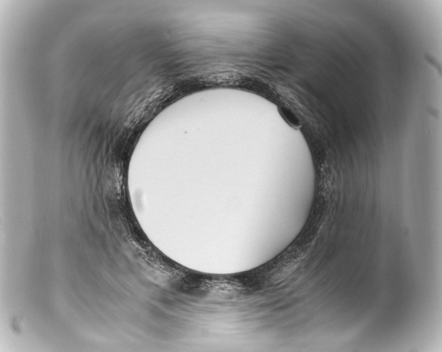 X0000099400597200805291212