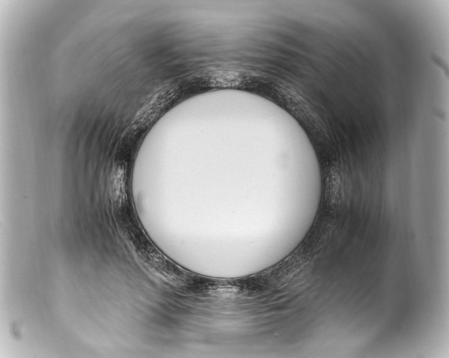 X0000099400598200805291212