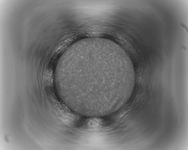 X0000099400599200805291211