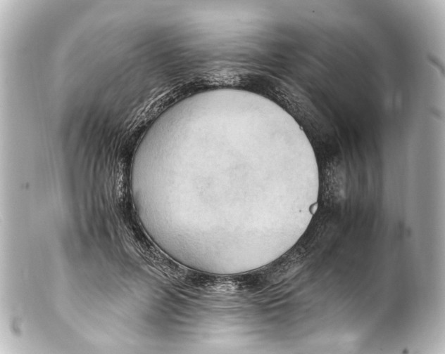 X0000099400600200805291211