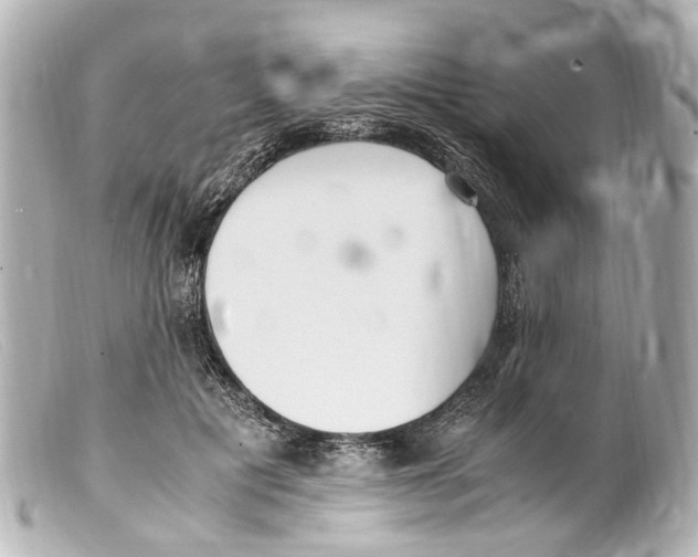 X0000099400601200805291211