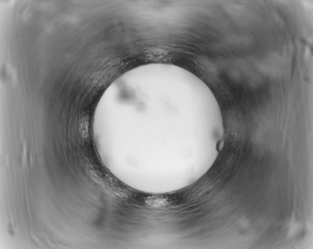 X0000099400602200805291211