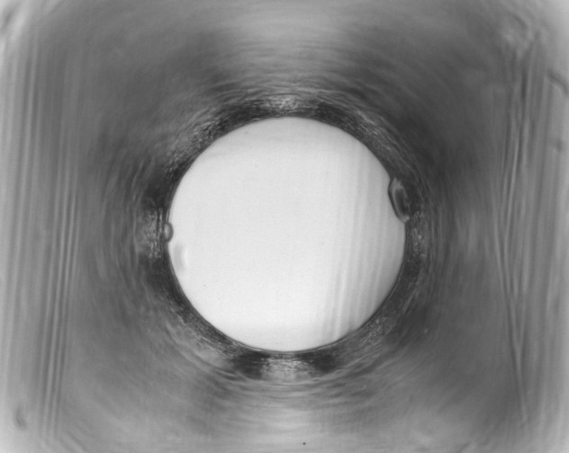 X0000099400605200805291211