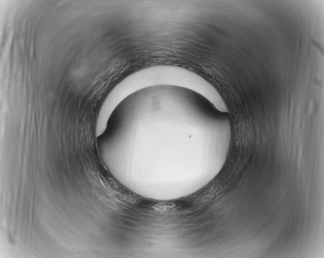 X0000099400606200805291211