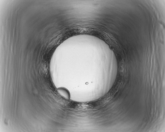 X0000099400607200805291211