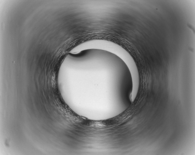 X0000099400610200805291211