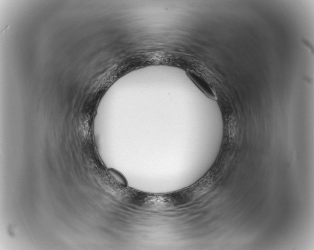 X0000099400611200805291211