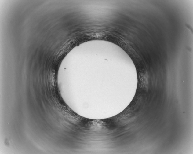 X0000099400612200805291211