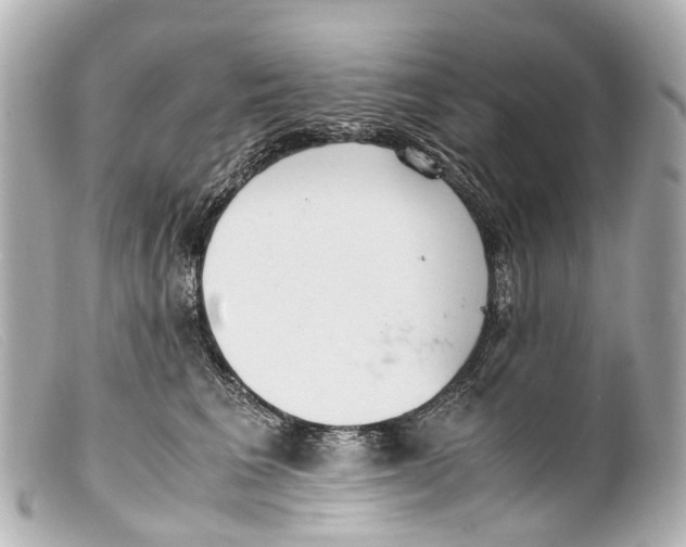 X0000099400613200805291211