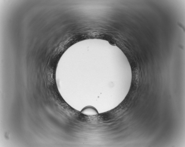 X0000099400615200805291211