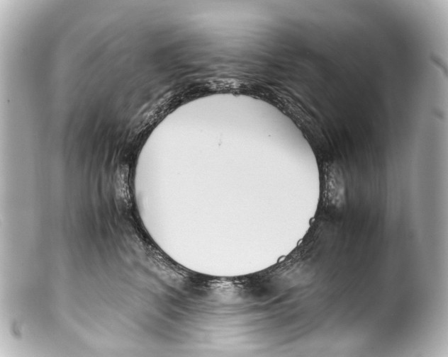 X0000099400616200805291211