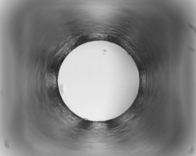 X0000099400617200805291211