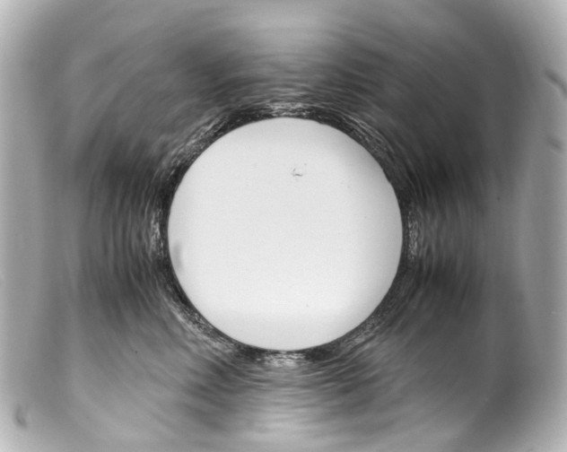 X0000099400618200805291211