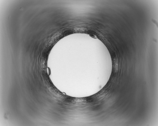 X0000099400619200805291211