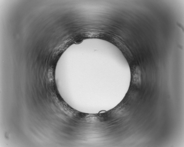 X0000099400620200805291211