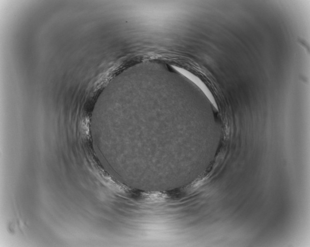 X0000099400621200805291211